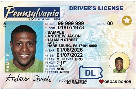 Penndot Unveils Design For New Pennsylvania Driver S License Phillyvoice