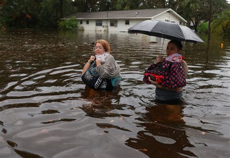 People In Hurricane Helene Path Evacuation Zone Decide To Ride It Out