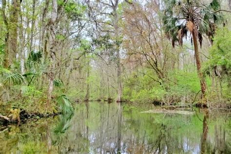 Perfect Destin To Disney World Drive Pics Nature Stops Along The Way Florida Travel Blog