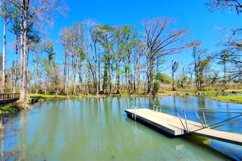 Perfect Destin To Orlando Drive Nature Stops At Beaches Caves