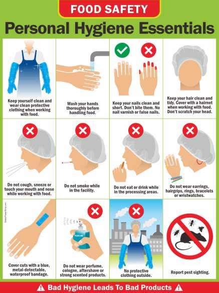 Personal Hygiene Essentials 18 24 Safety Poster Shop