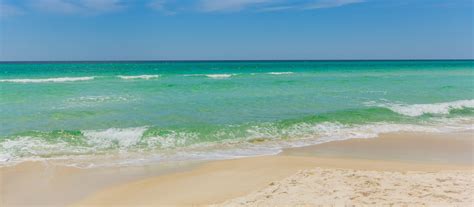 Pet Friendly Beachfront Hotel Destin Fl Kids Matttroy