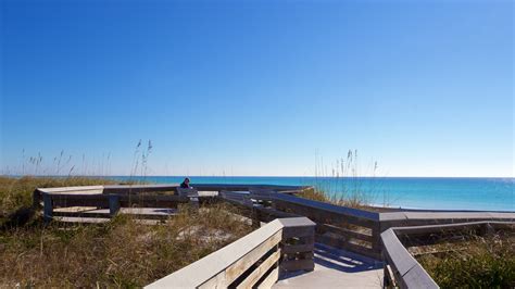 Pet Friendly Oceanfront Condos Destin Florida Kids Matttroy