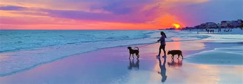 Pet Friendly Rentals In Destin 30A Five Star Gulf Rentals