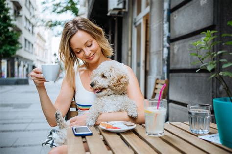 Pet Friendly Restaurants Bars Around Santa Monica Full Service Pet