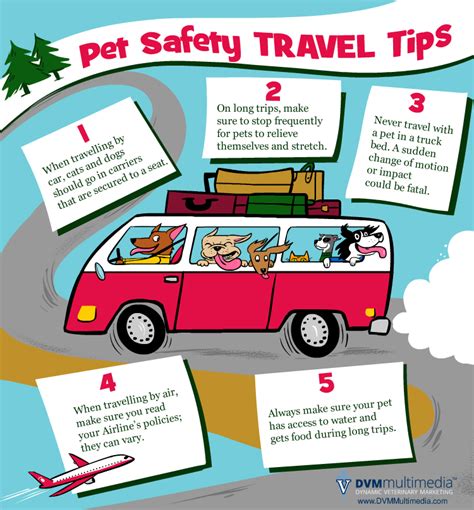 Pet Travel Safety Tips Ohana Veterinary Clinic