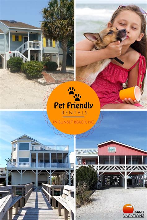 Pets Are Family Sunset Vacations Offers Pet Friendly Vacation Rentals