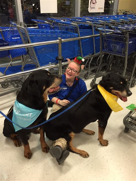 Petsmart 11 Photos Amp 13 Reviews Pet Training 34940 Emerald Coast Pkwy Unit Destin Fl