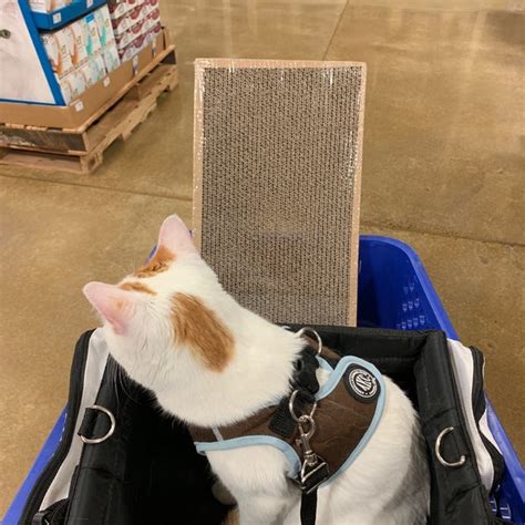 Petsmart 5 Tips