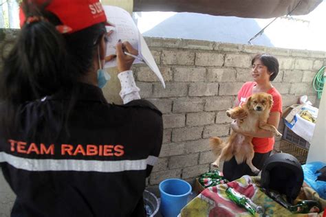 Photo Free Rabies Vaccines In Bali The Jakarta Post