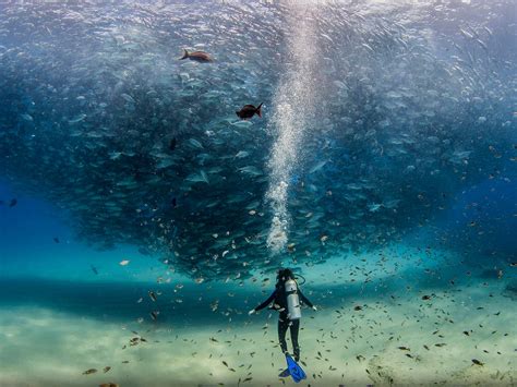 Photography And Photos Of The Day National Geographic Destin Beach