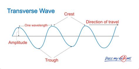 Physics Unit 10 Waves And Sound Flashcards Quizlet