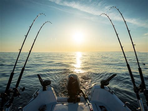 Pin On Deep Sea Fishing