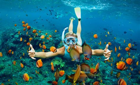 Pinel Island Snorkeling Oyster Pond Beach Adventure In St Maarten