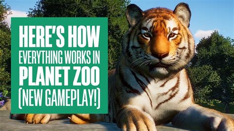 5 Ways Fix Planet Zoo Error