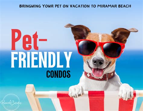 Planning A Pet Friendly Destin Vacation