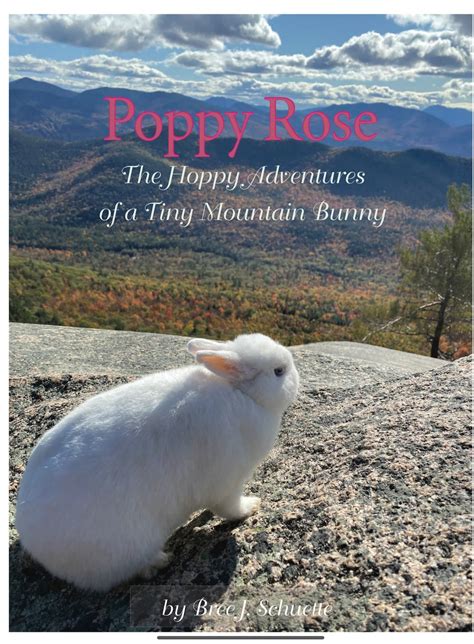 Poppy Rose The Hoppy Adventures Of A Tiny Mountain Bunny Etsy