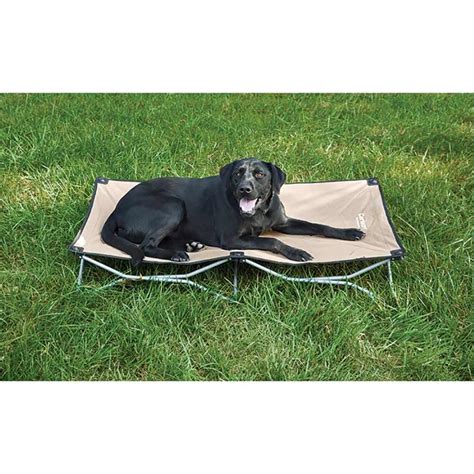 Portable Pup Pet Bed Carlson Pet Products 8020 Pet Beds Camping World