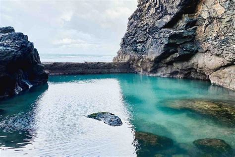 Porthtowan Tidal Pool Rockpool Guide Cornwall Tidal Pools