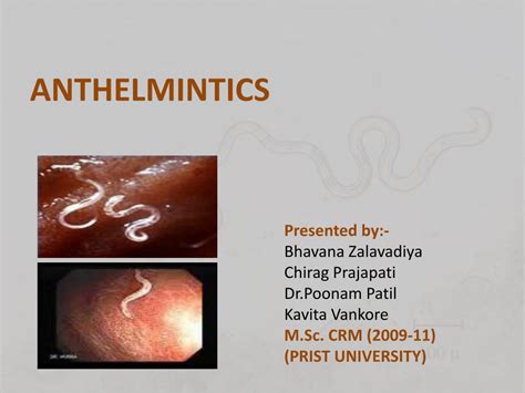 Ppt Anthelmintics Powerpoint Presentation Free Download Id 1925959