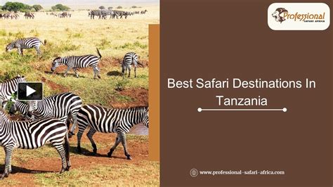 Ppt Best Safari Destinations In Tanzania Powerpoint Presentation