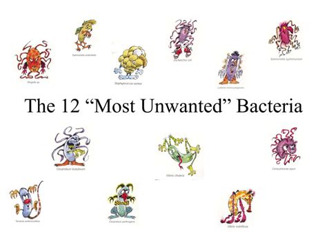 Ppt The 12 Most Unwanted Bacteria Powerpoint Presentation Id 558543