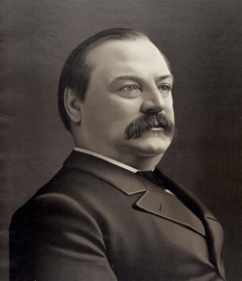 President Grover Cleveland By 0Rathmad