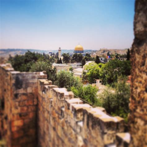 Private Tour Guide Israeli Guide Ltd