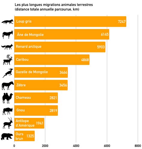 Qu Est Ce Que La Migration Des Animaux