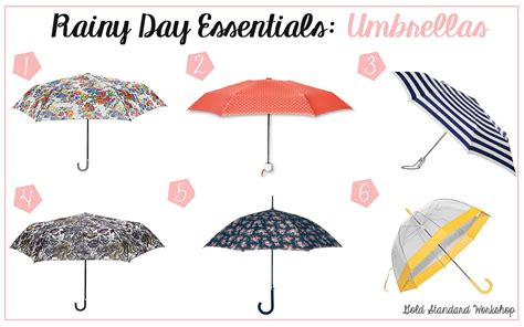 Rainy Day Essentials Pretty And Affordable Umbrellas Recommendations