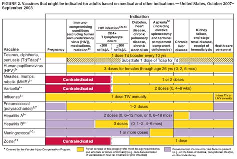 Recommended Adult Immunization Schedule United States October 2007