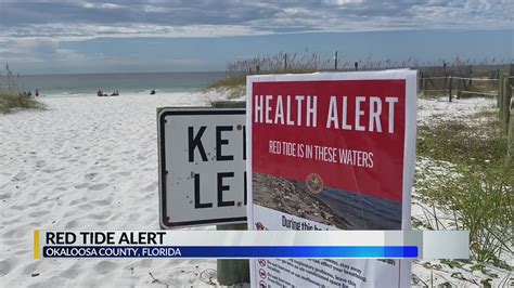 Red Tide Present At Beaches In Destin Fort Walton Beach Youtube