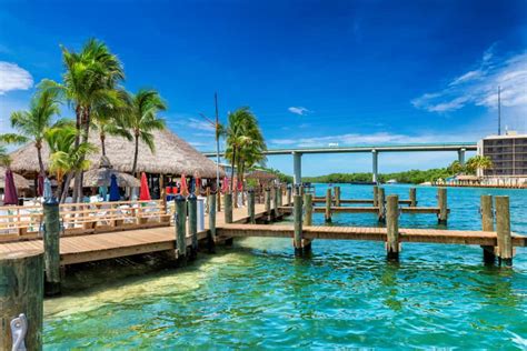 Remarkable Experiences You Can Only Have In Key Largo Florida Keys