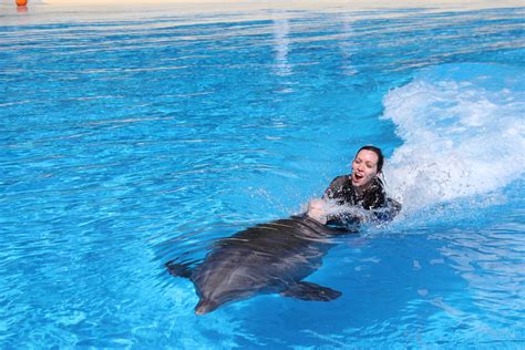 Ride The Dolphin Dolphin Rides In Mexico 2007 James Flickr