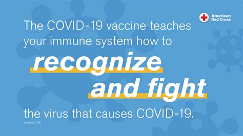 Rideguru Travel Guidelines For The Vaccinated Covid 19