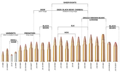 Rifle Bullet Trajectory Chart By Caliber