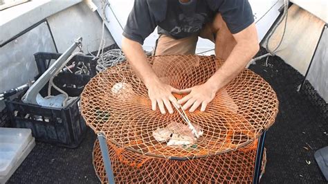 Rigging A Crab Trap And Catching Crabs Youtube