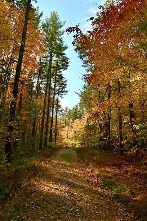 Road To Beauty Photograph By Douglas Perry Fine Art America