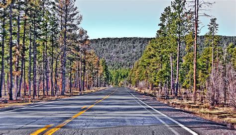 Road Travel Trees Mountains Nature Way Drag Highway Track Path Branches Artery