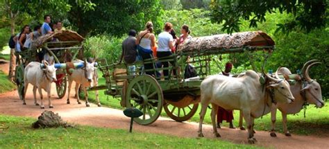 Rural Village Tour