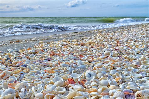 Sanibel Island Fl The World S Best Shelling Beaches Sanibel Island