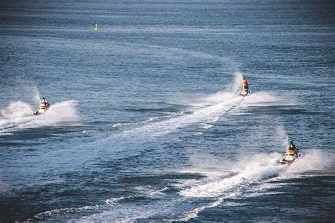 Sarasota Jet Ski Dolphin Tour Rockon Recreation Rentals