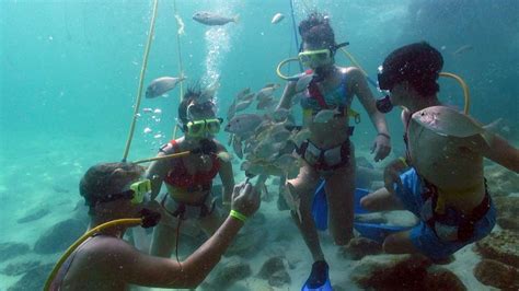 Scuba Diving Destin FL