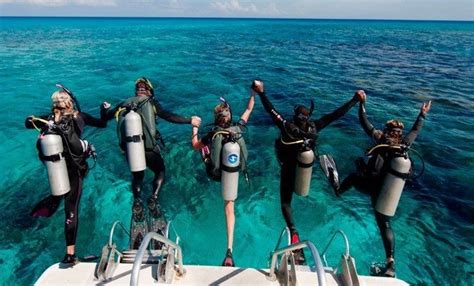 Scuba Diving Certification A Guide To Joining The Fun The Adventure Edge