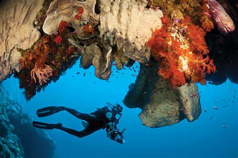 Scuba Diving Top 100 Best Overall Destinations Scuba Diving