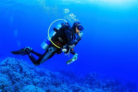 Scuba Diving Wallpapers Top Free Scuba Diving Backgrounds