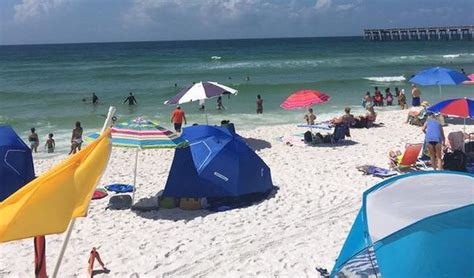 Sea Lice On Florida Beaches Updated Conditions In Pensacola Panama