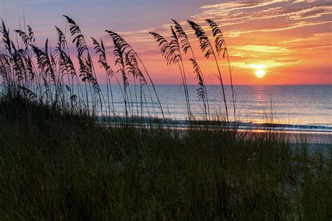 Sea Oats At Sunrise Destin Florida Sea Oats At Sunrise I Flickr