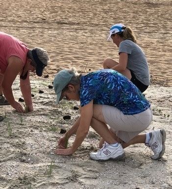 Sea Oats Staff