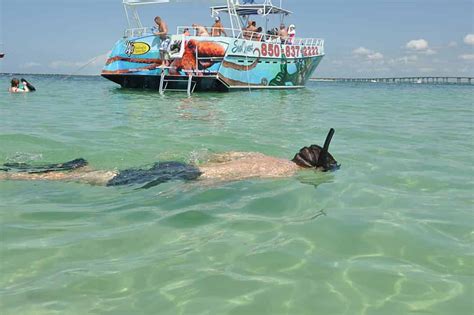 Seaquest Snorkeling Amp Dolphin Adventure In Destin Tripshock